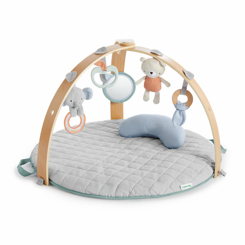 Ingenuity Babygym 354300